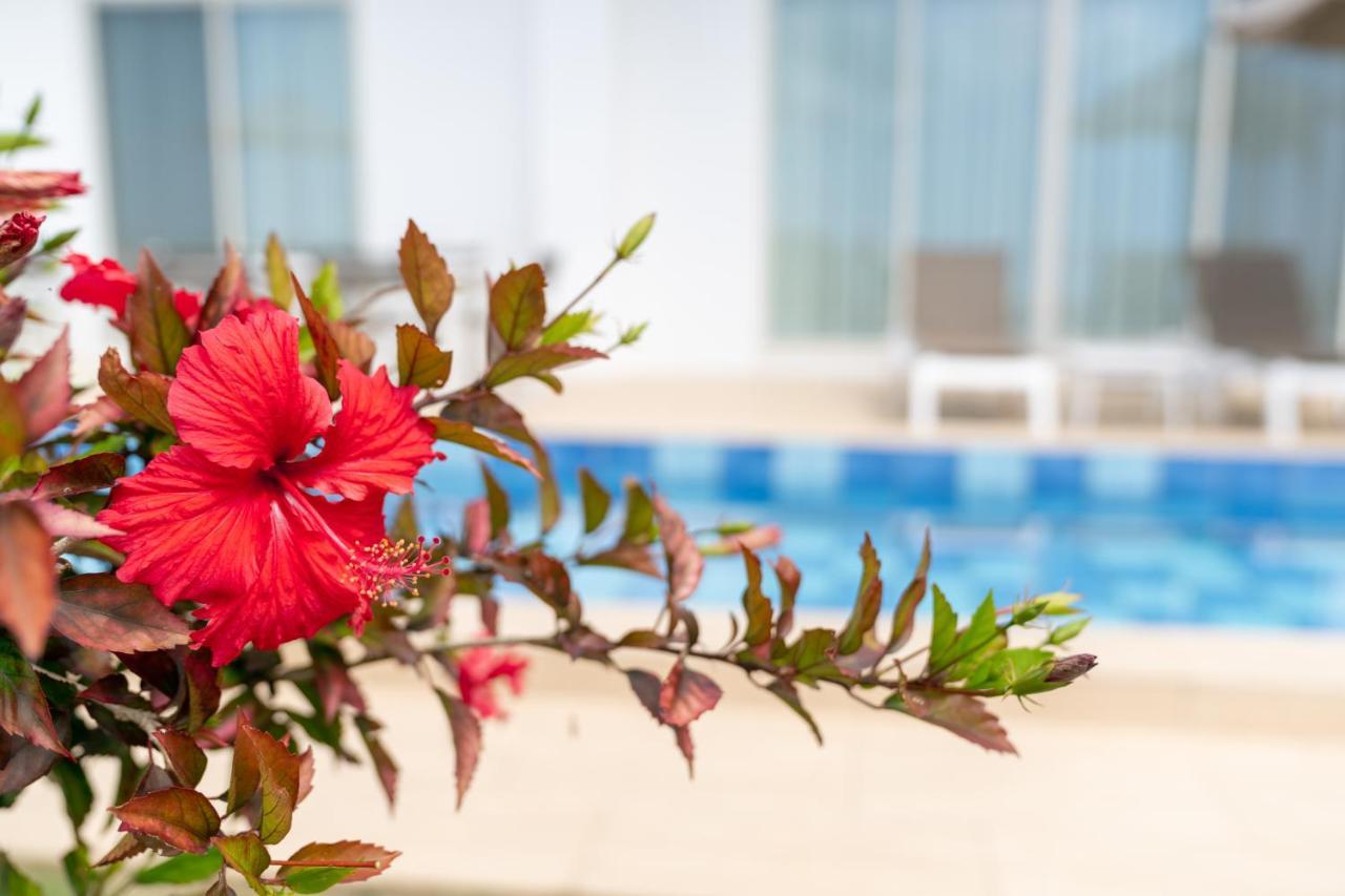 Crystal Villa Miyakojima Sunayama Beach Ngoại thất bức ảnh